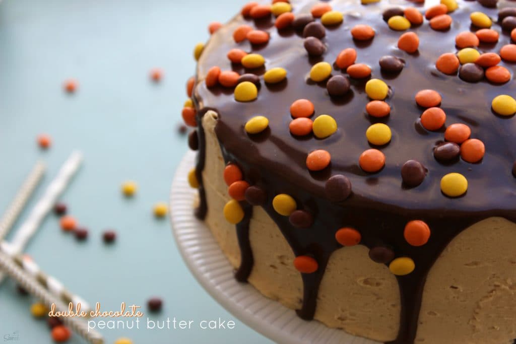 Double Chocolate Peanut Butter Cake view
