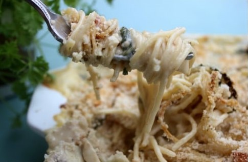 Chicken Tetrazzini Pasta Bake is a classic American pasta dish, conveniently made into a pasta bake. It’s easy, simple, and ready in less than 40 minutes.