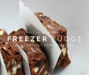 Freezer Fudge, Paleo Friendly, Dairy & Soy Free