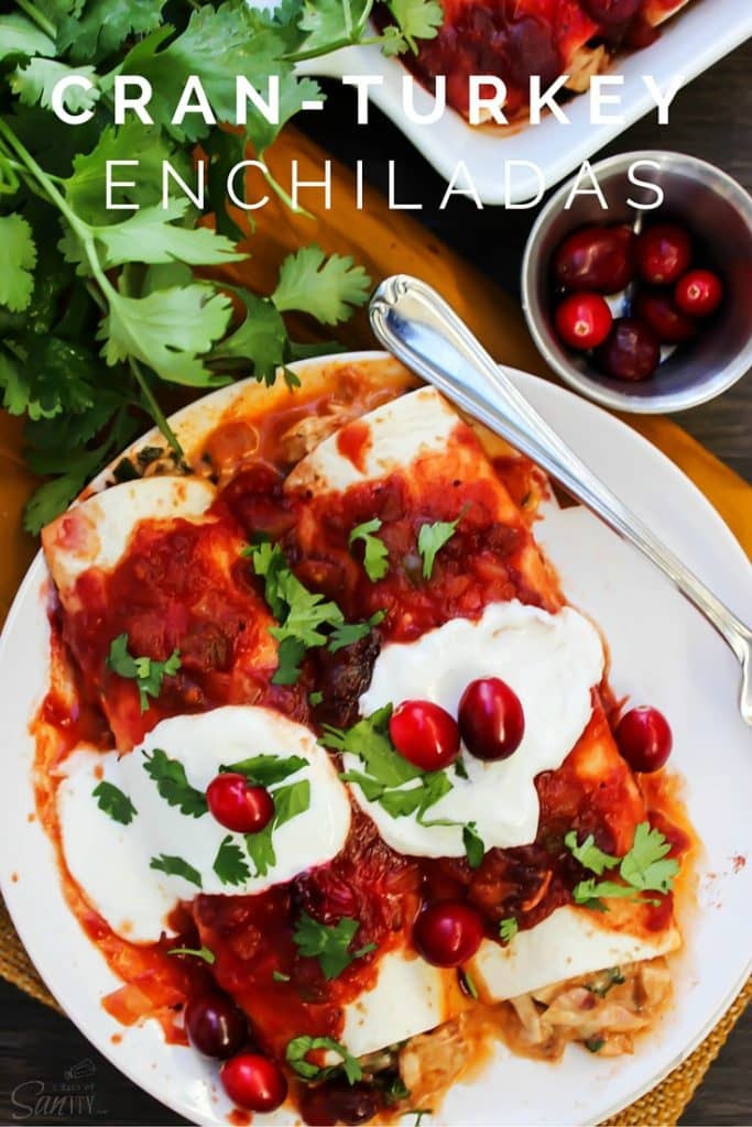 Cran-Turkey Enchiladas