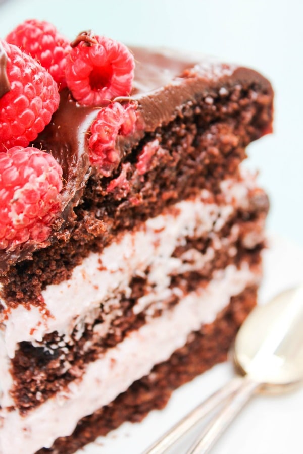 Chocolate Raspberry Swiss Roll with the Most Delicious Raspberry Cream -  Cake by Courtney