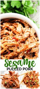 Sesame Pulled Pork pinterest image
