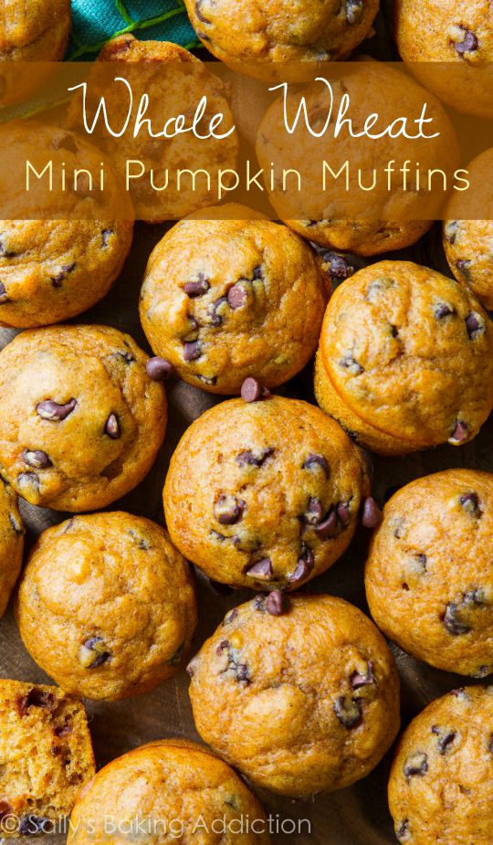 whole-wheat-mini-pumpkin-chocolate-chip-muffins-1