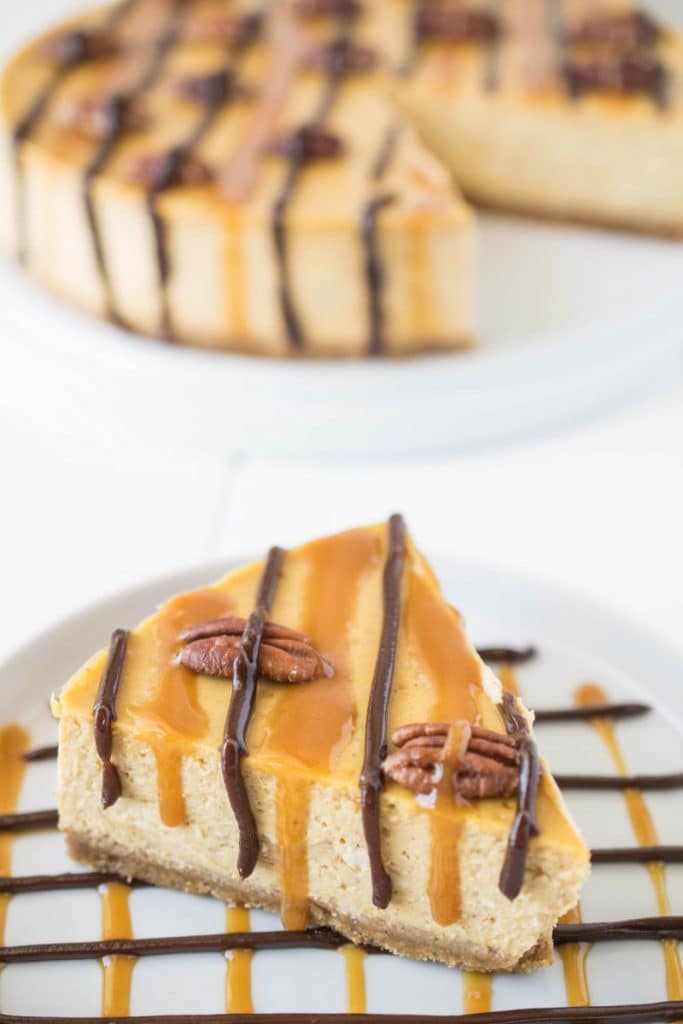 Pumpkin Turtle Cheesecake