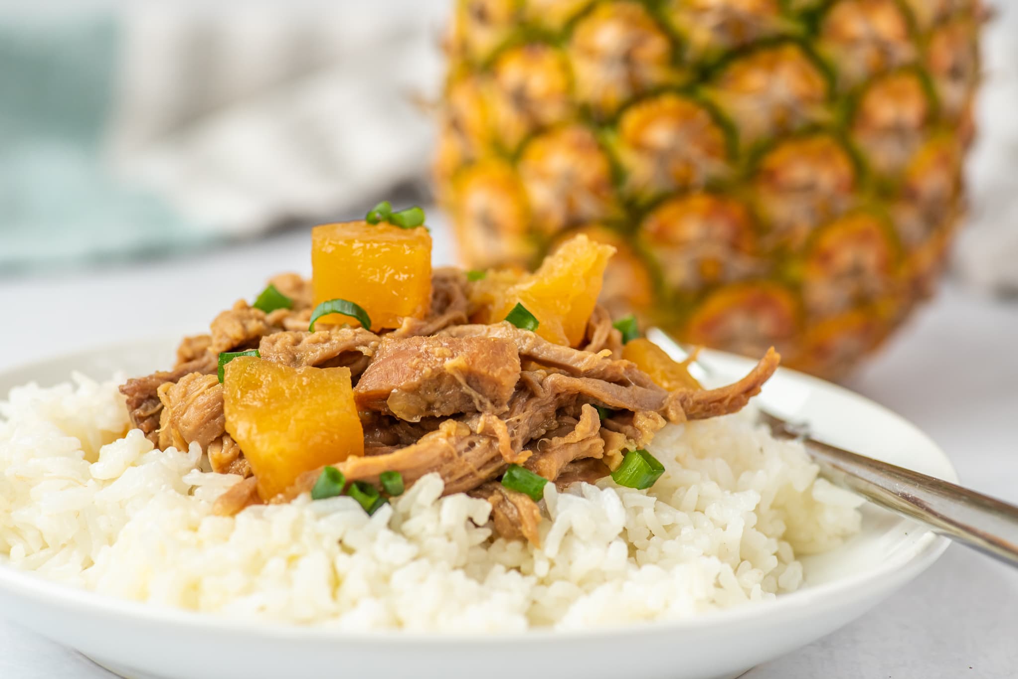 close-up photo of pineapple pork