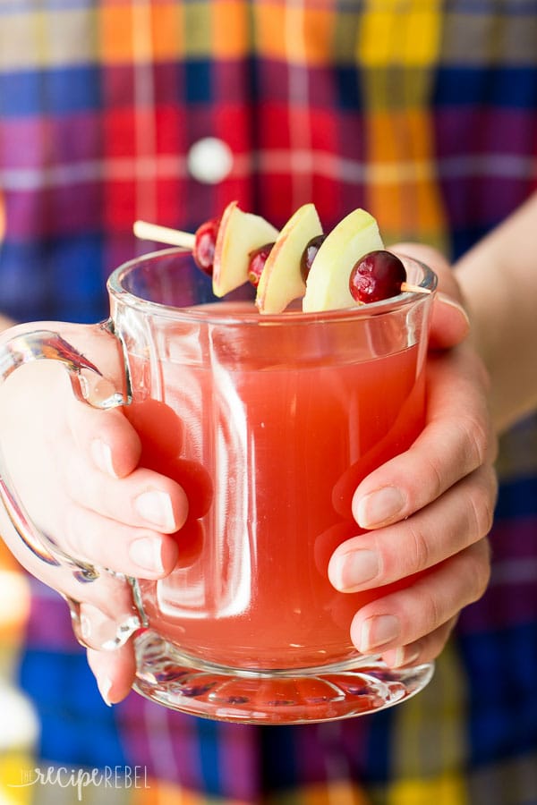 SLOW COOKER CRANBERRY APPLE CIDER