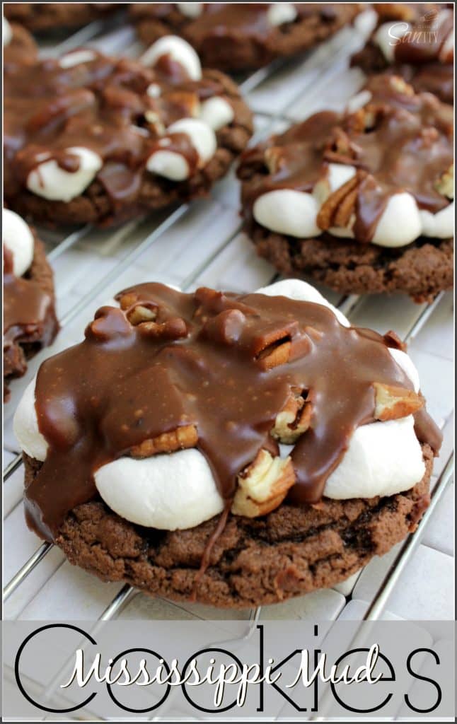 Mississippi Mud Cookies