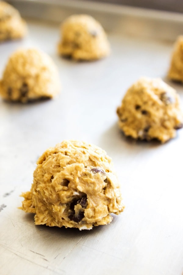 chewyoatmealpeanutbutterchocolatechipcookiescookiedough Dash