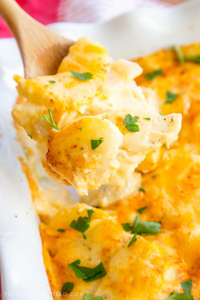 Cheesy Scalloped Potatoes