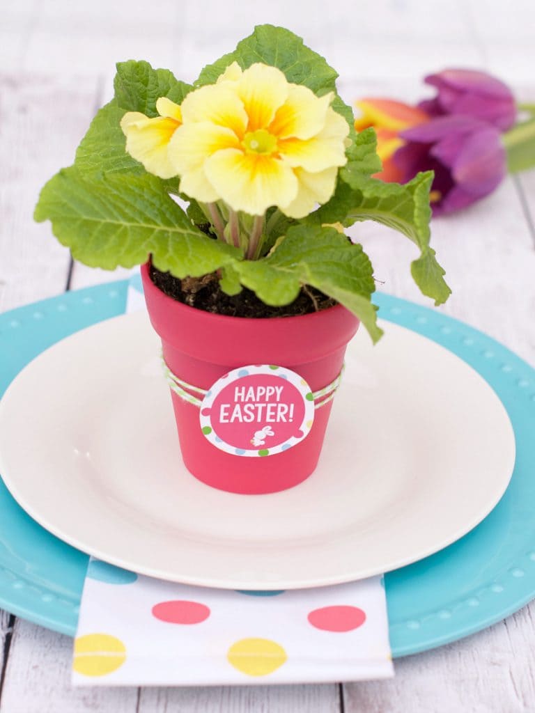 Spring Flowers Gift Idea with Free Printable