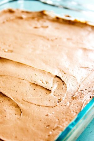 GERMAN-CHOCOLATE-ICEBOX-CAKE-MOUSSE-1 - A Dash of Sanity