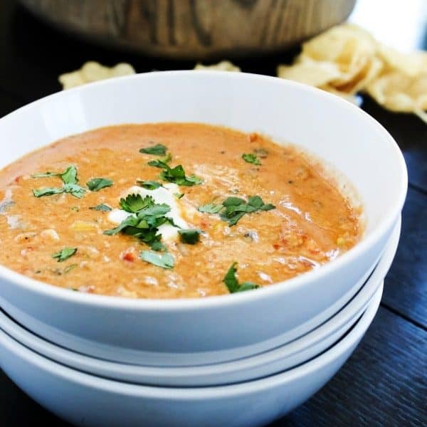 Slow Cooker Chicken Chili Dip Dash of Sanity