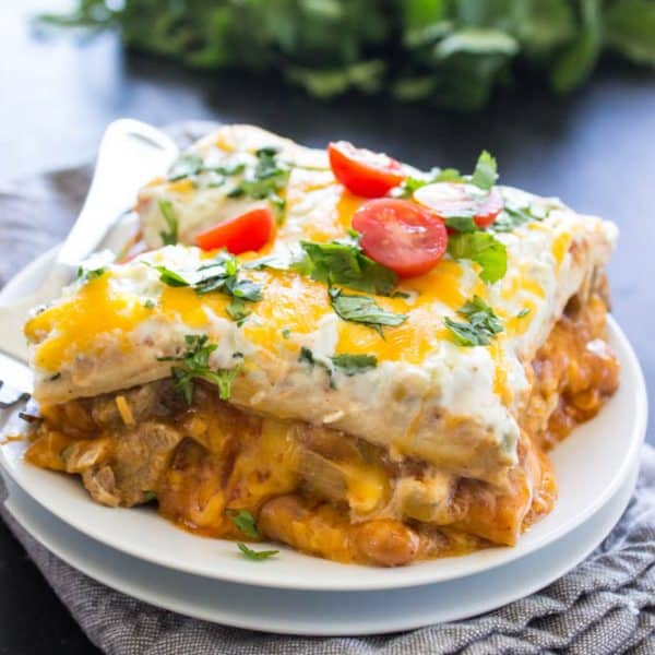 Steak Queso Enchilada Casserole Dash of Sanity