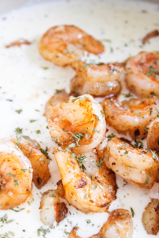 close up garlic shrimp in alfredo sauce