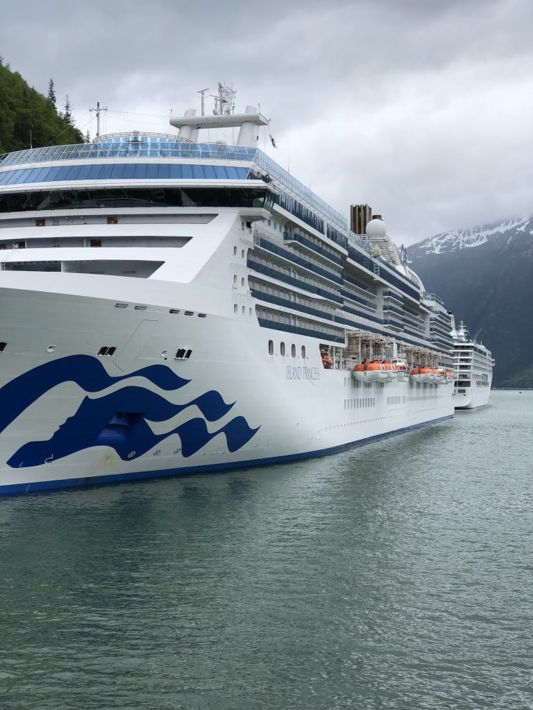 Alaska Princess Cruise ship in water near mountains