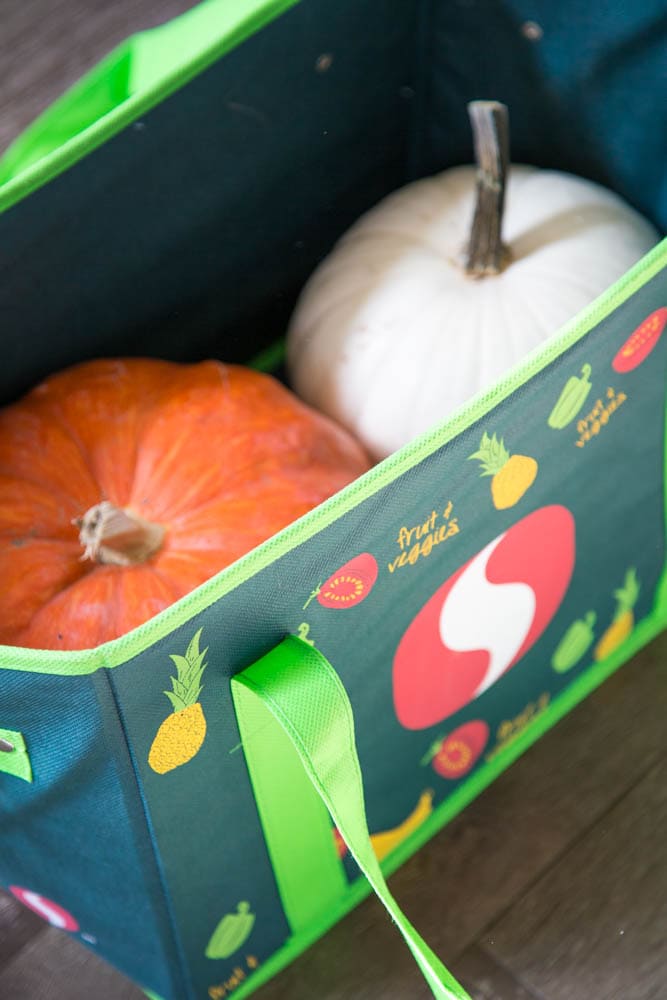 photo of a bag with pumpkins in it.