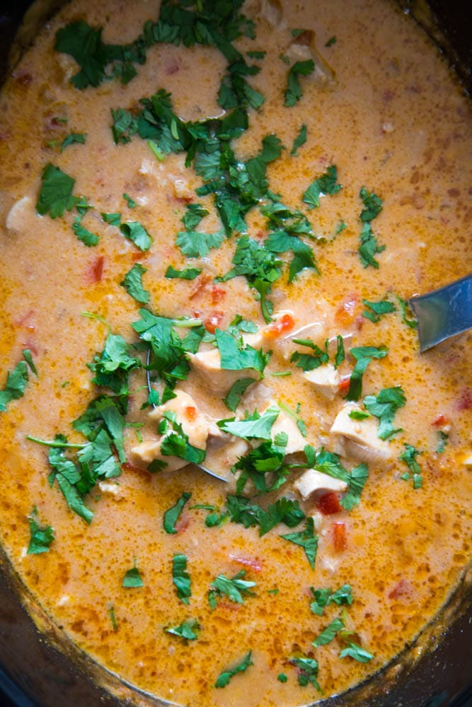 curry chicken in a slow cooker.