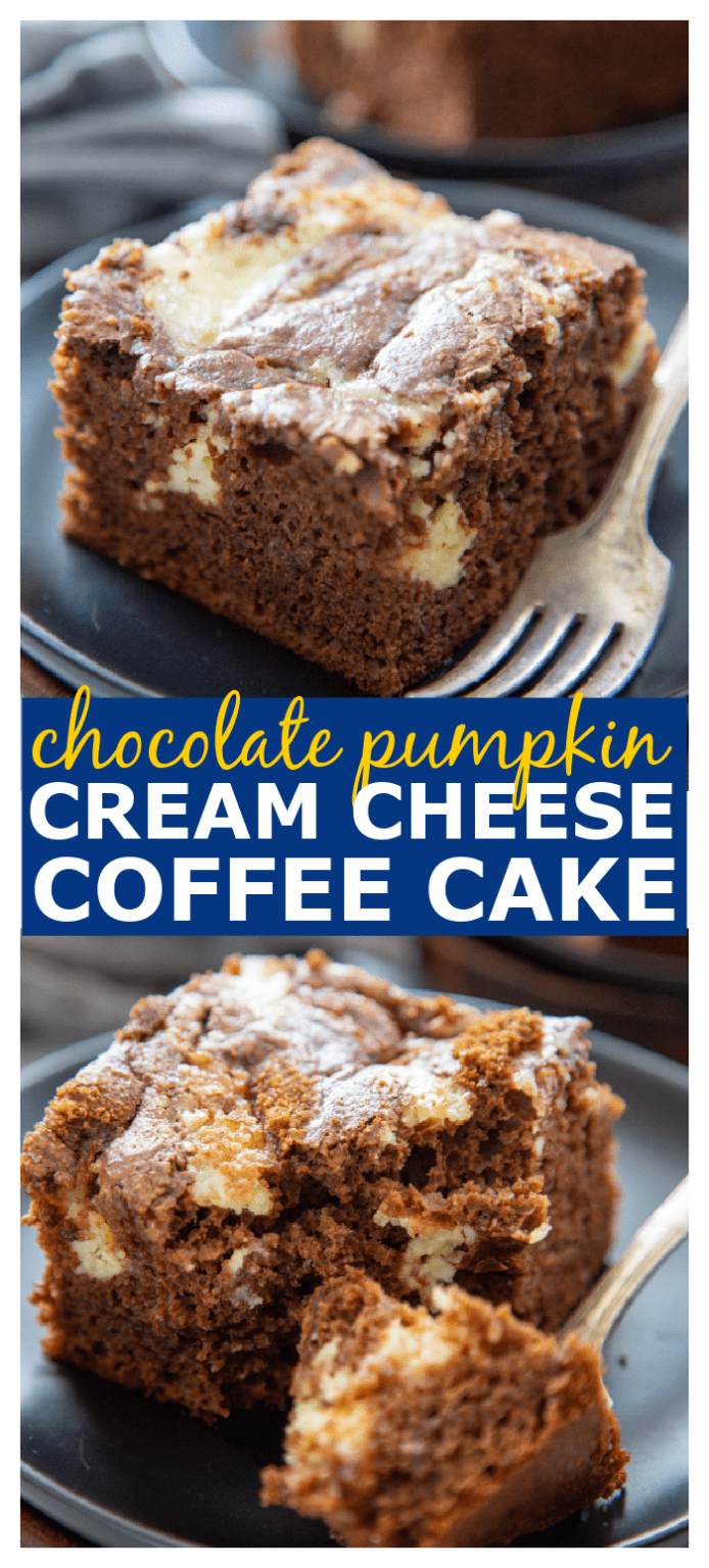 Chocolate Pumpkin Cream Cheese Swirled Coffee Cake Dash of Sanity