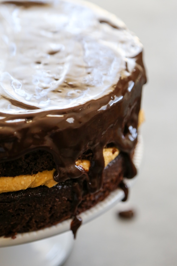 close-up photo of the cake with the ganache dripping down the sides.