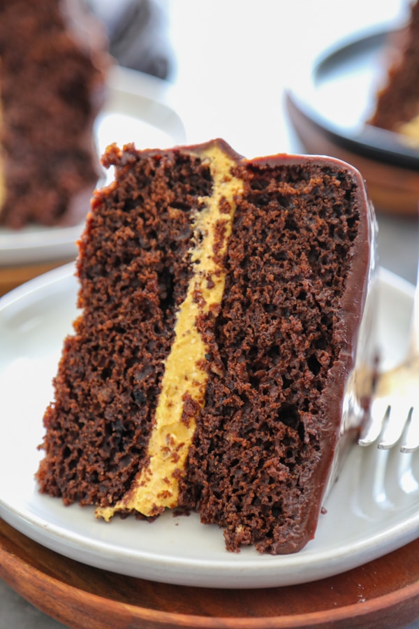 close up of a slice of harvest cake.