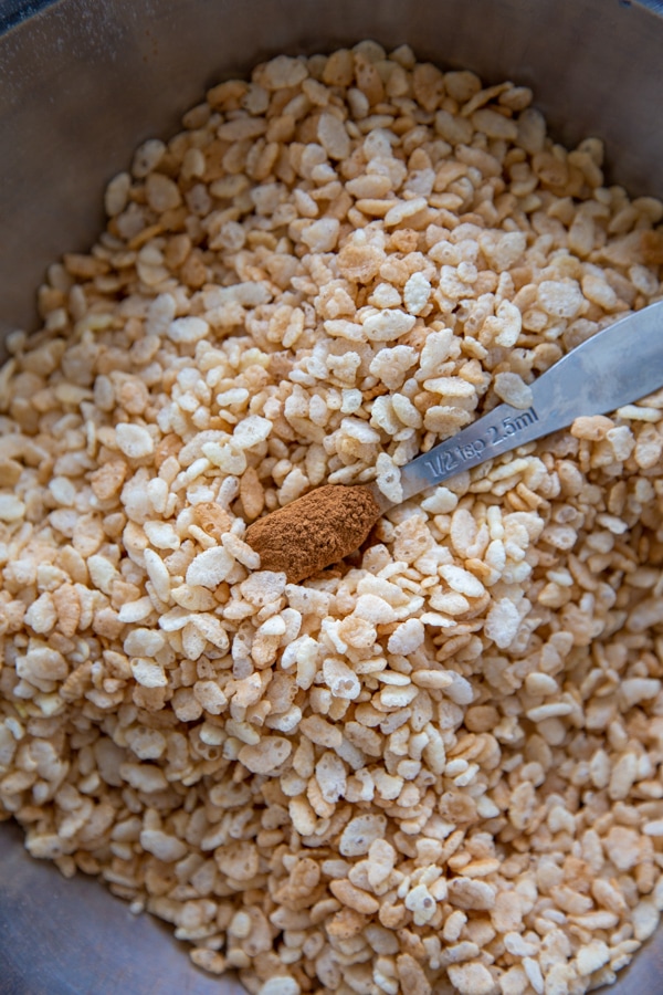 cinnamon being added to the cereal.