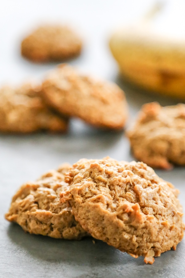 close-up shot of two cookies.