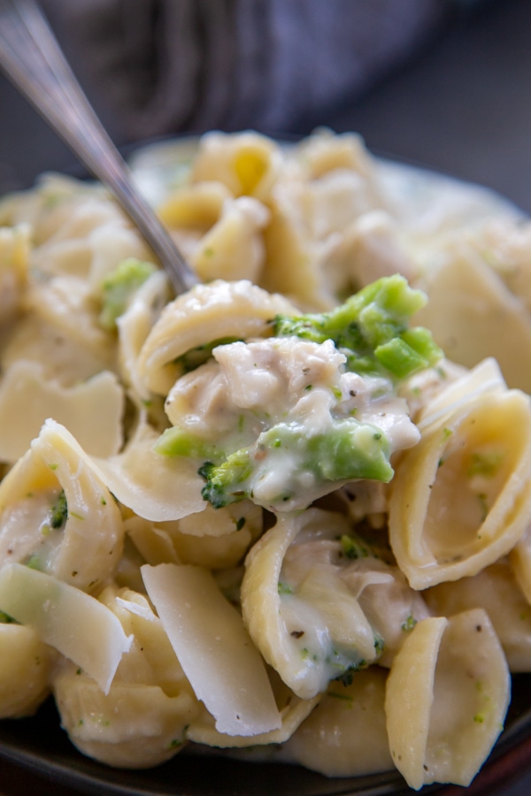 Chicken Broccoli Alfredo - Dash of Sanity