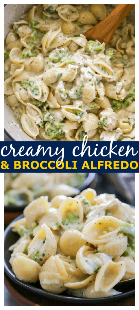 One-Pot Creamy Chicken and Broccoli Alfredo - Dash of Sanity