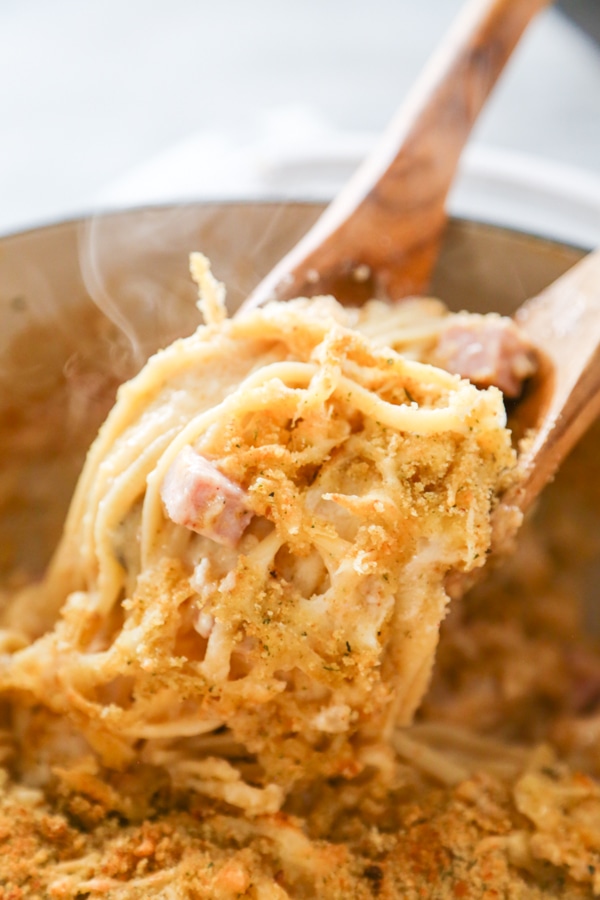 some creamy pasta being lifted from a baking dish.