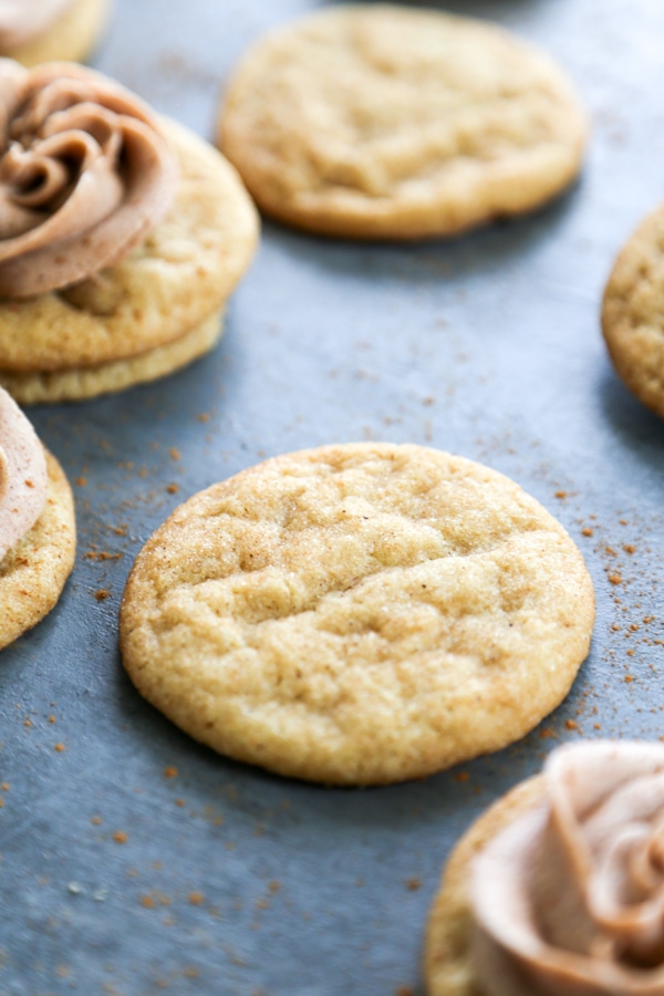 close-up of a churro cookie without frosting.