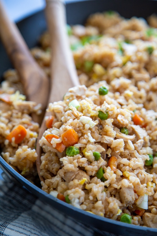 Chicken Fried Rice - Dinner at the Zoo