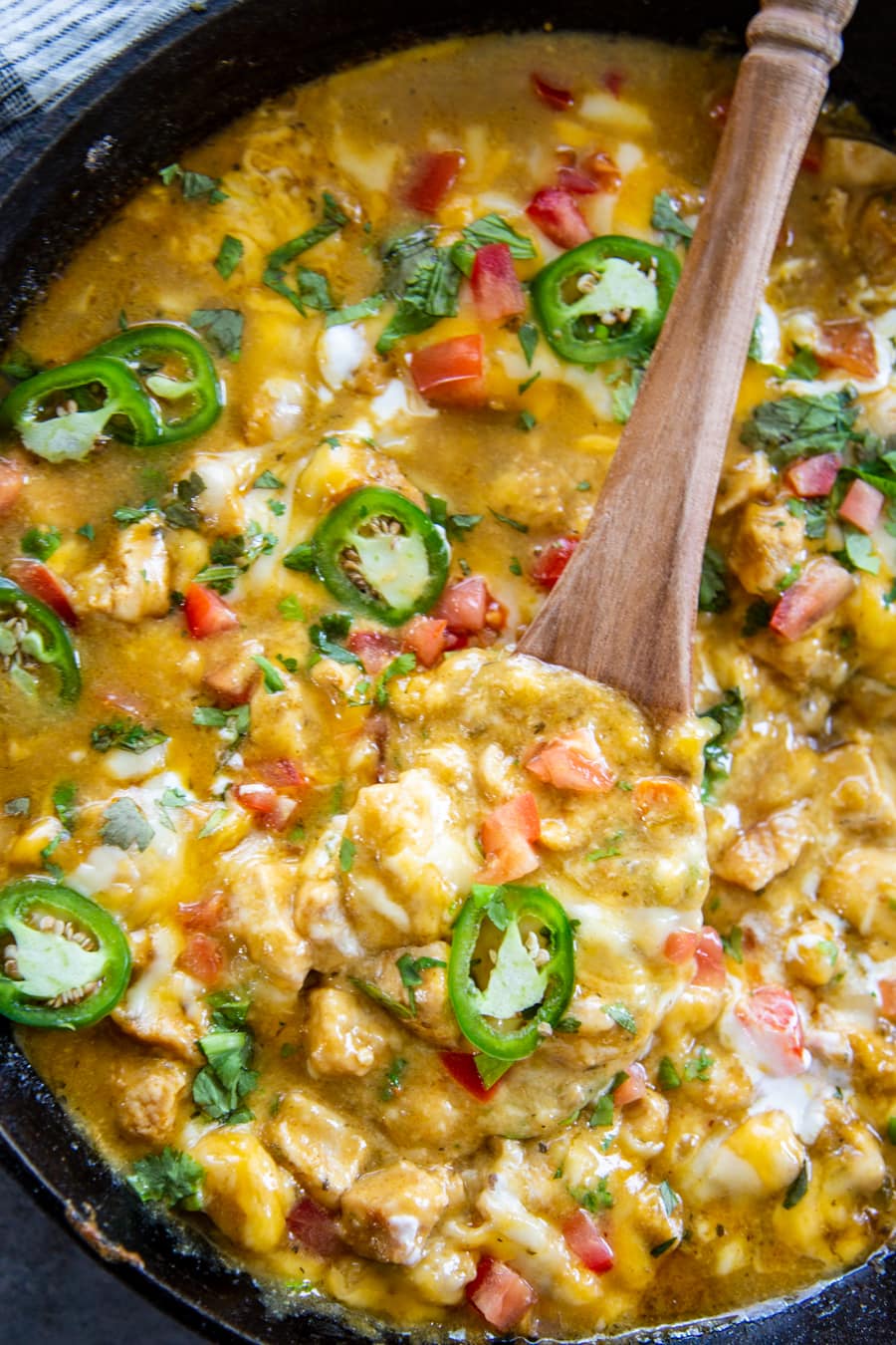 Chile Verde Chicken Overhead Shot Dash Of Sanity