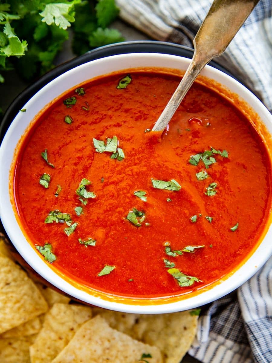 Colorado Chile Sauce Recipe Dash of Sanity