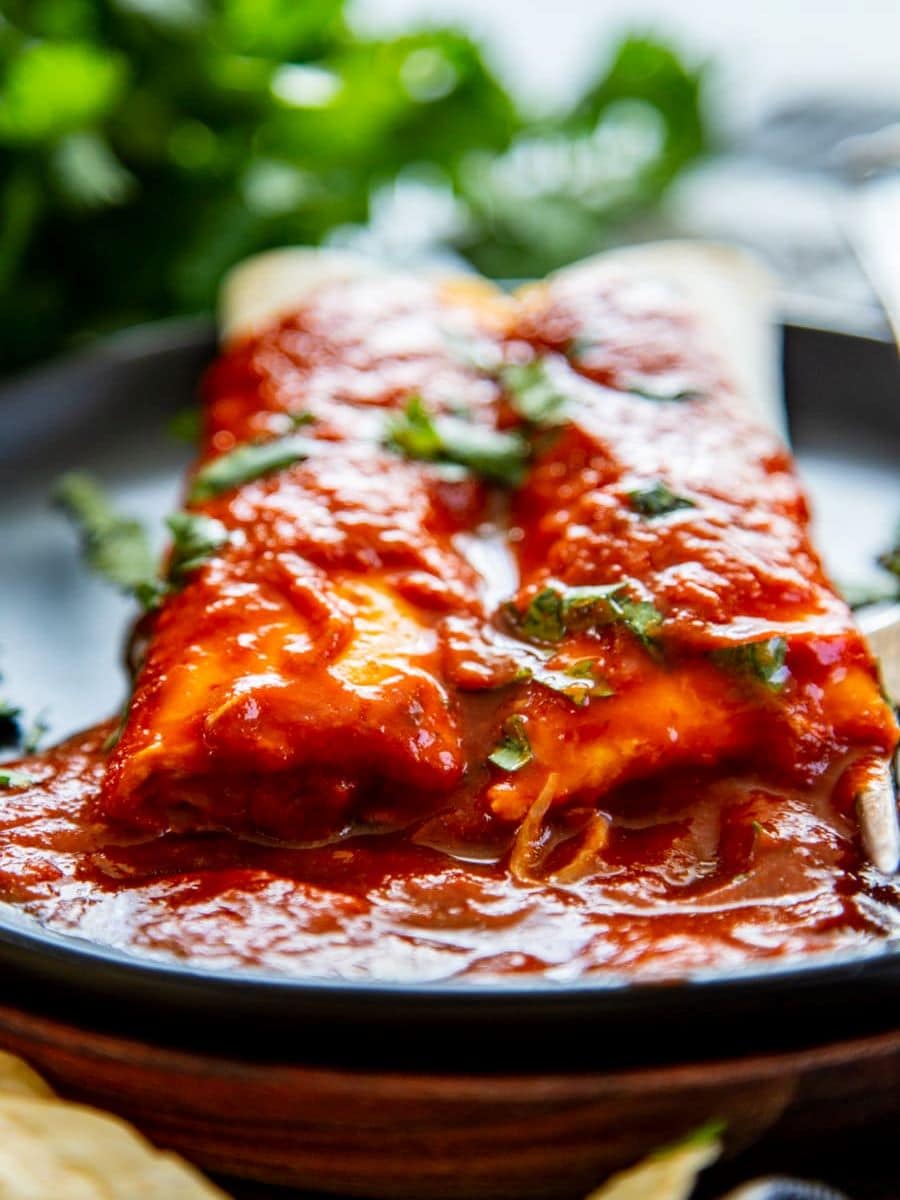 How to Make Colorado Chile Sauce Dash of Sanity