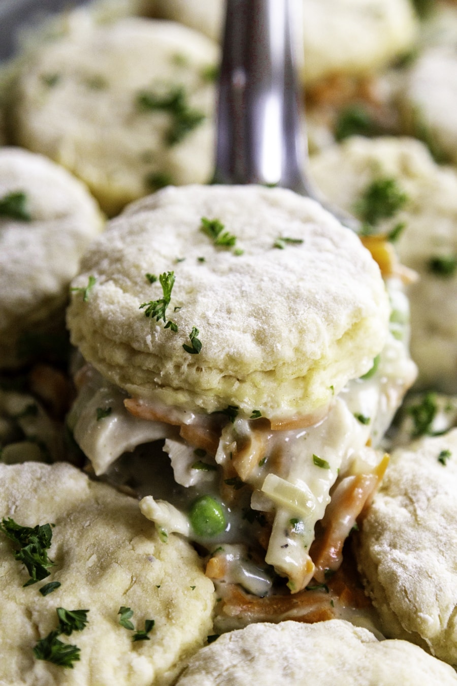 HOW TO MAKE CHICKEN POT PIE WITH BISCUITS Dash of Sanity