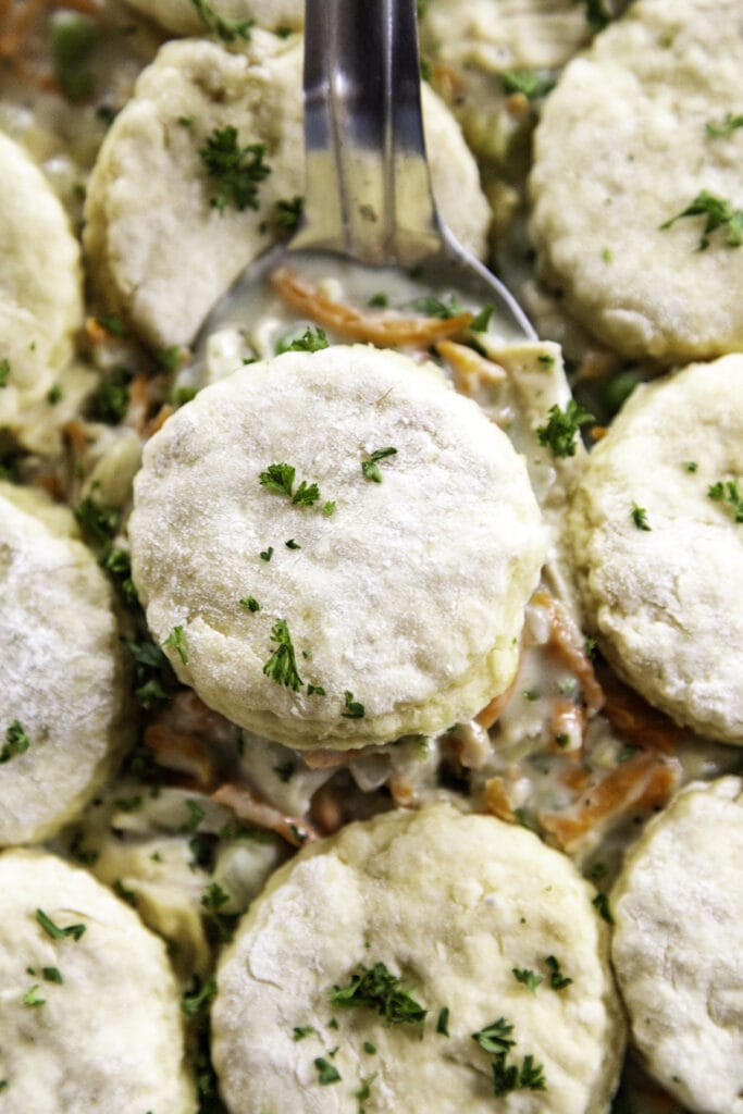 overhead shot of biscuits and chicken pot pie baked