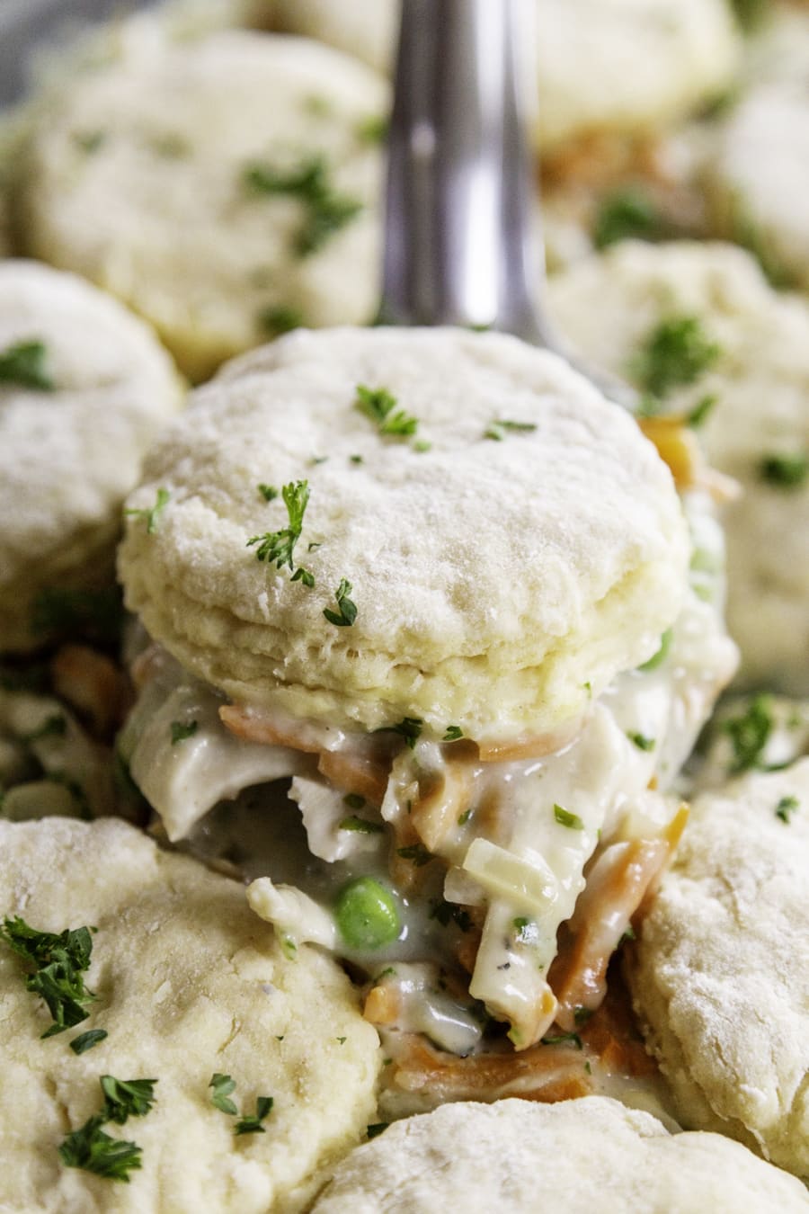 Chicken Pot Pie With Biscuits - Dash of Sanity