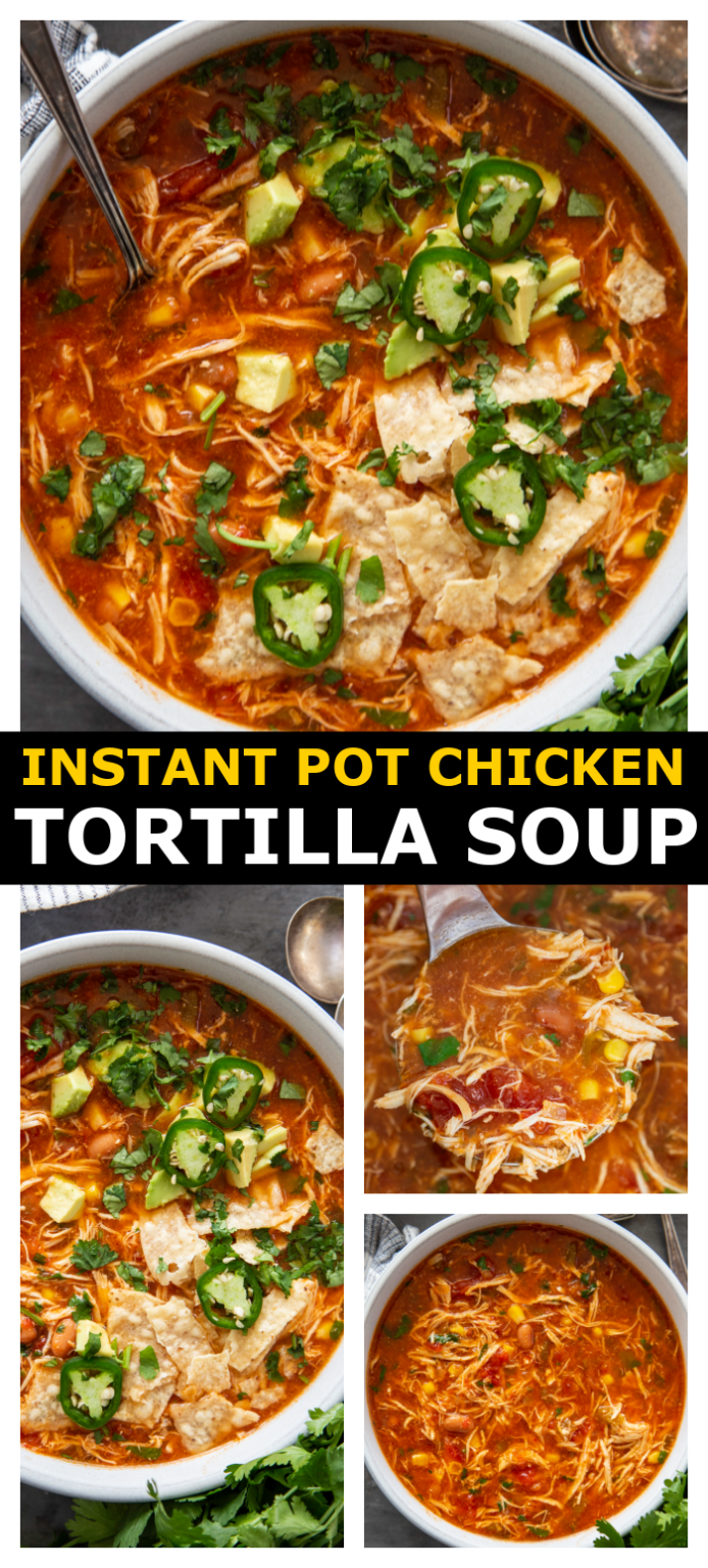 Instant Pot Chicken Tortilla Soup Dash of Sanity