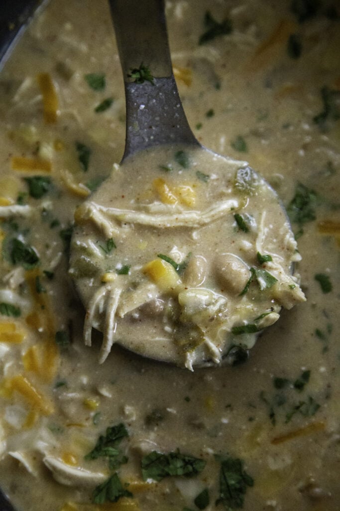 White Chicken Chili In The Crockpot - arinsolangeathome