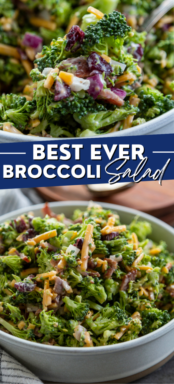Broccoli Salad Dash of Sanity