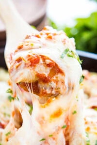 close up cheese stuffed pasta shells