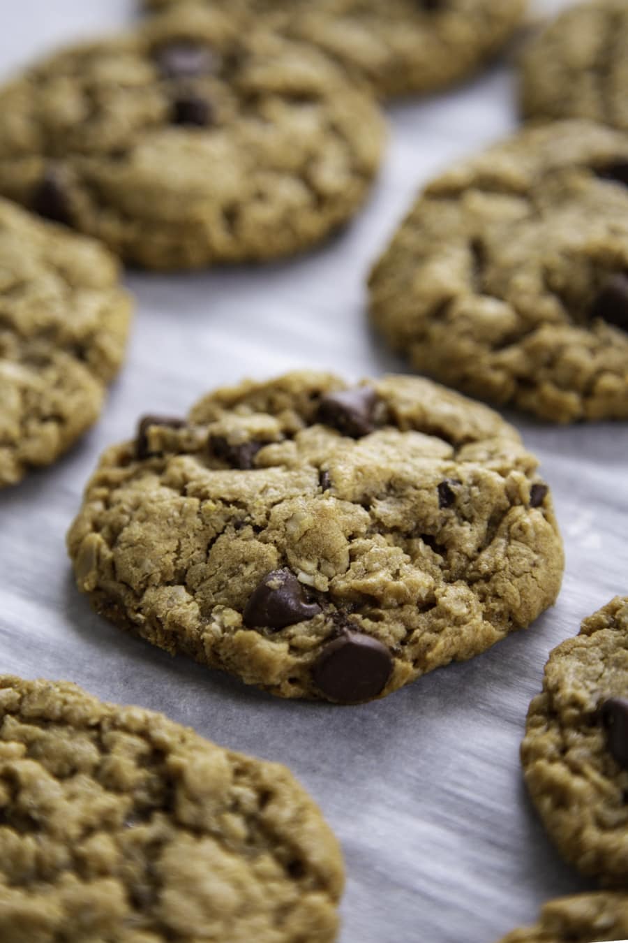 oatmeal peanut butter chocolate chip cookies on baking sheet