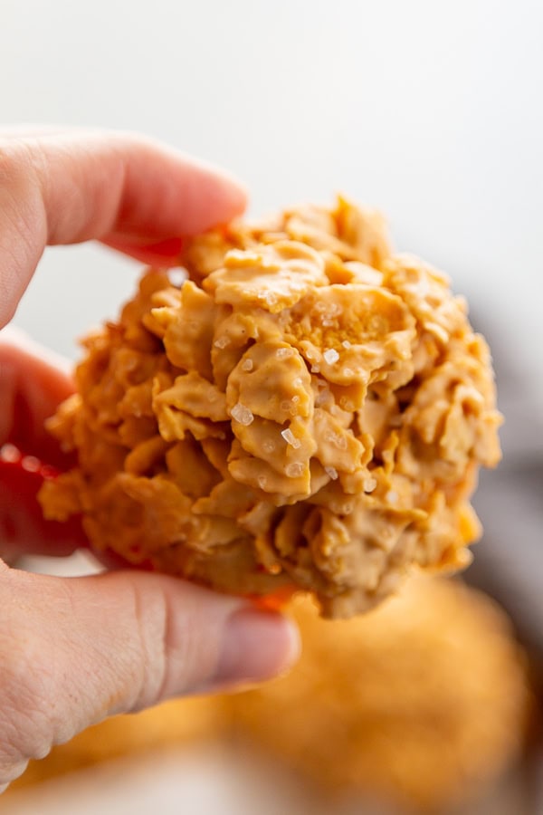 single cookie no bake butterscotch