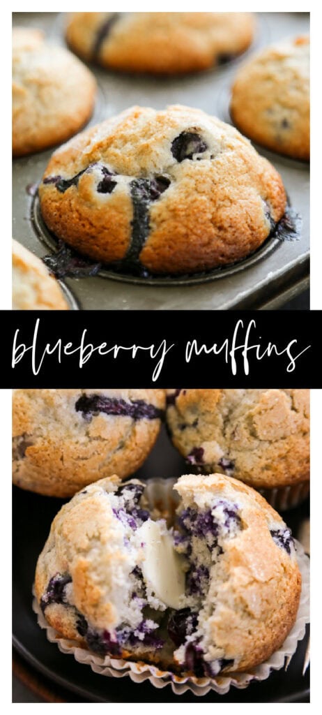 blueberry muffin collage image