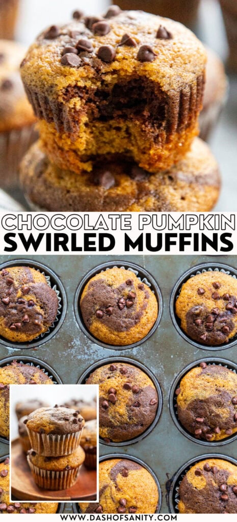 collage image with recipe title of chocolate pumpkin swirled muffins