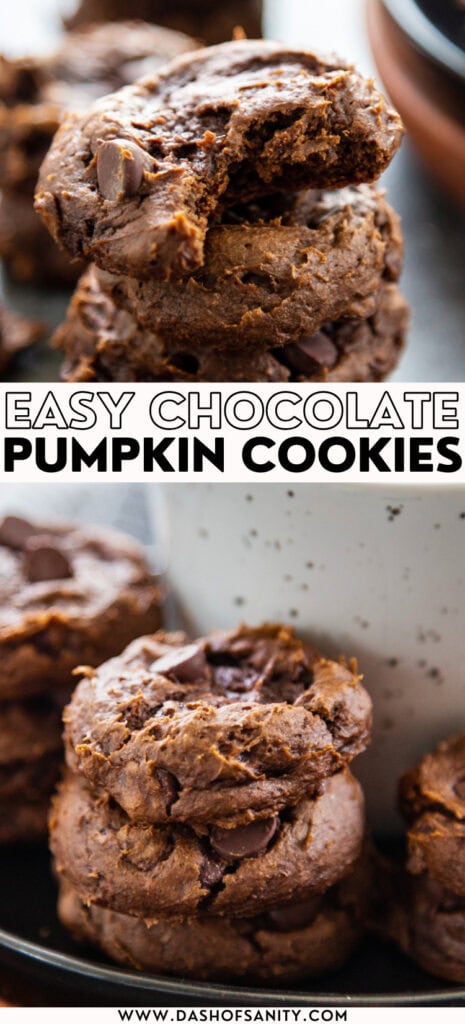 collage image chocolate pumpkin cookies with chocolate chips