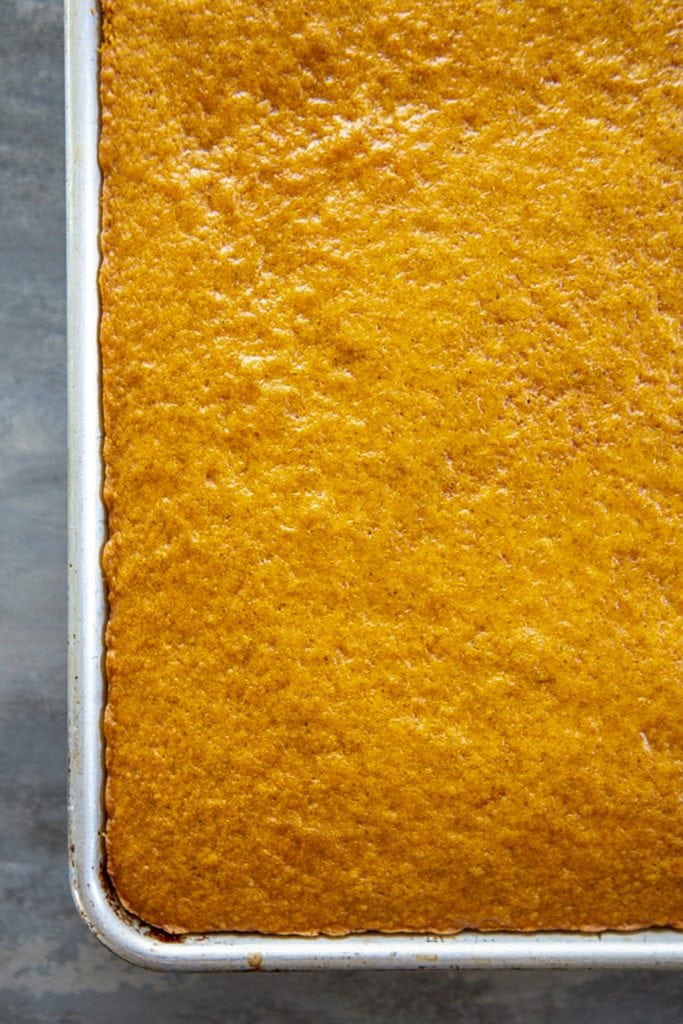 overhead shot of baked pumpkin bars, unfrosted