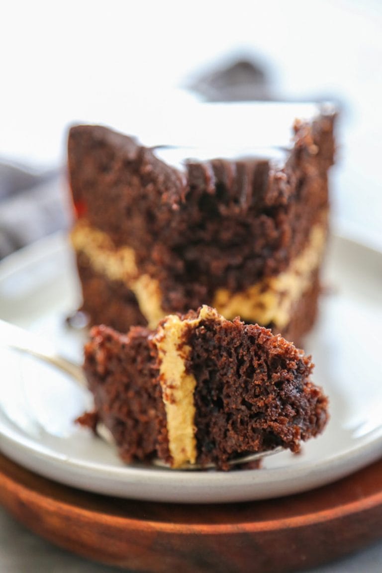 bite of chocolate pumpkin cake