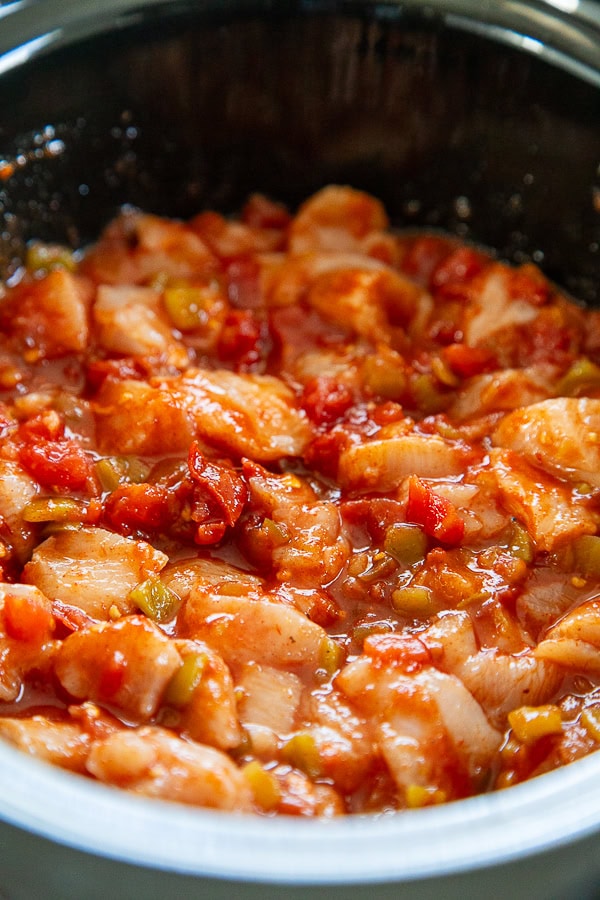 raw chicken and salsa in crockpot