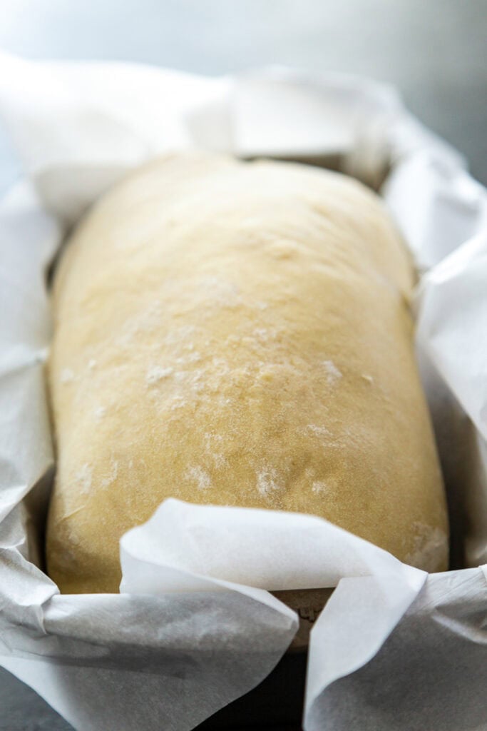 bread dough rising in pan